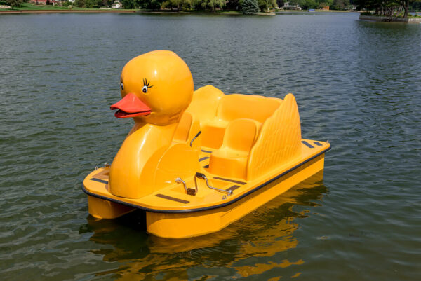 Paddle Wheeler Duck